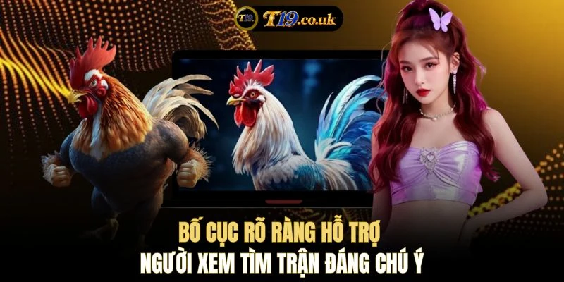 Bố cục rõ ràng hỗ trợ người xem tìm trận đáng chú ý