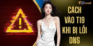 Cách Vào T19 Khi Bị Lỗi DNS