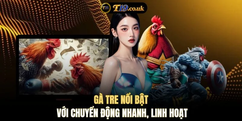Gà tre nổi bật với chuyển động nhanh, linh hoạt