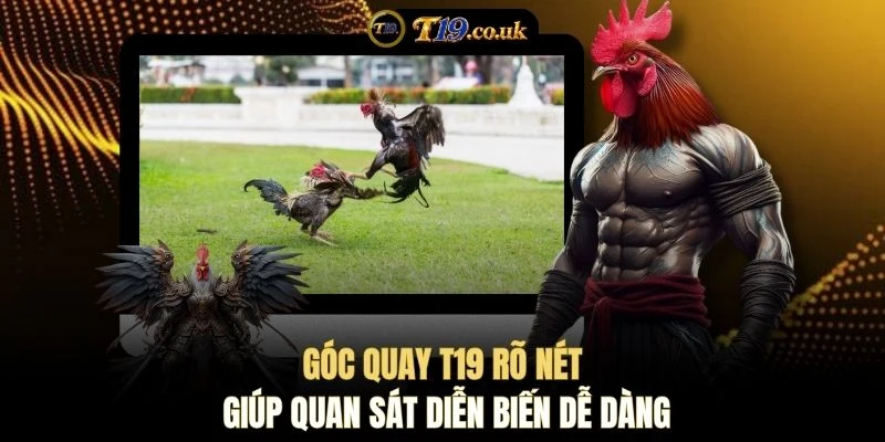 Góc quay T19 rõ nét giúp quan sát diễn biến dễ dàng
