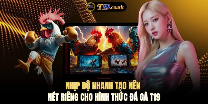 Nhịp độ nhanh tạo nên nét riêng cho hình thức đá gà T19